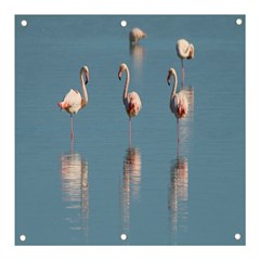 Flamingo Birds Plumage Sea Water Animal Exotic Banner And Sign 3  X 3  by artworkshop