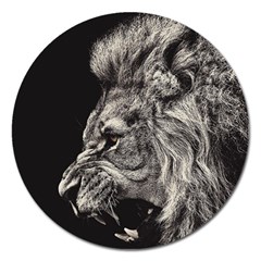 Angry Male Lion Magnet 5  (round) by Jancukart