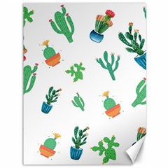 Among Succulents And Cactus  Canvas 36  X 48  by ConteMonfreyShop