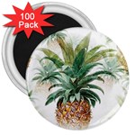 Pineapple Pattern Background Seamless Vintage 3  Magnets (100 pack) Front