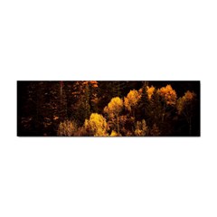 Autumn Fall Foliage Forest Trees Woods Nature Sticker Bumper (100 Pack) by danenraven