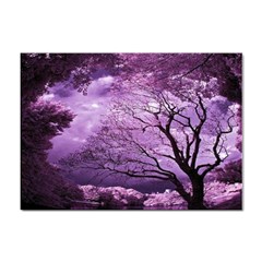 Violet Nature Sticker A4 (100 Pack) by Sparkle