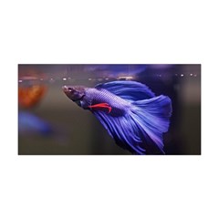 Betta Fish Photo And Wallpaper Cute Betta Fish Pictures Yoga Headband by StoreofSuccess