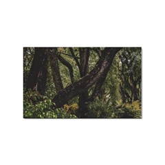 Botanical Motif Trees Detail Photography Sticker (rectangular) by dflcprintsclothing