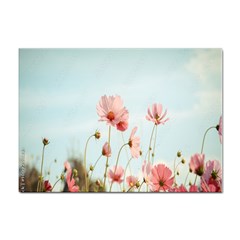 Cosmos Flower Blossom In Garden Sticker A4 (100 Pack) by artworkshop