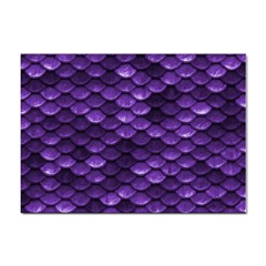 Purple Scales! Sticker A4 (100 Pack) by fructosebat