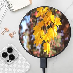 Amazing Arrowtown Autumn Leaves Wireless Fast Charger(black) by artworkshop