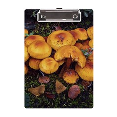 Orange Mushrooms In Patagonia Forest, Ushuaia, Argentina A5 Acrylic Clipboard by dflcprintsclothing