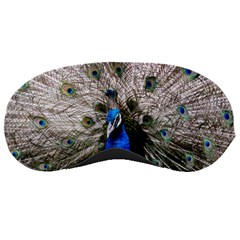 Peacock Bird Animal Feather Nature Colorful Sleeping Mask by Ravend