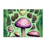 Witchy Forest Mushroom Sticker A4 (100 pack) Front