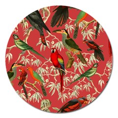 Vintage Tropical Birds Pattern In Pink Magnet 5  (round) by CCBoutique