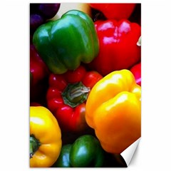 Colorful Capsicum Canvas 20  X 30  by Sparkle