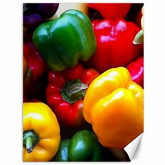 Colorful Capsicum Canvas 36  X 48  by Sparkle