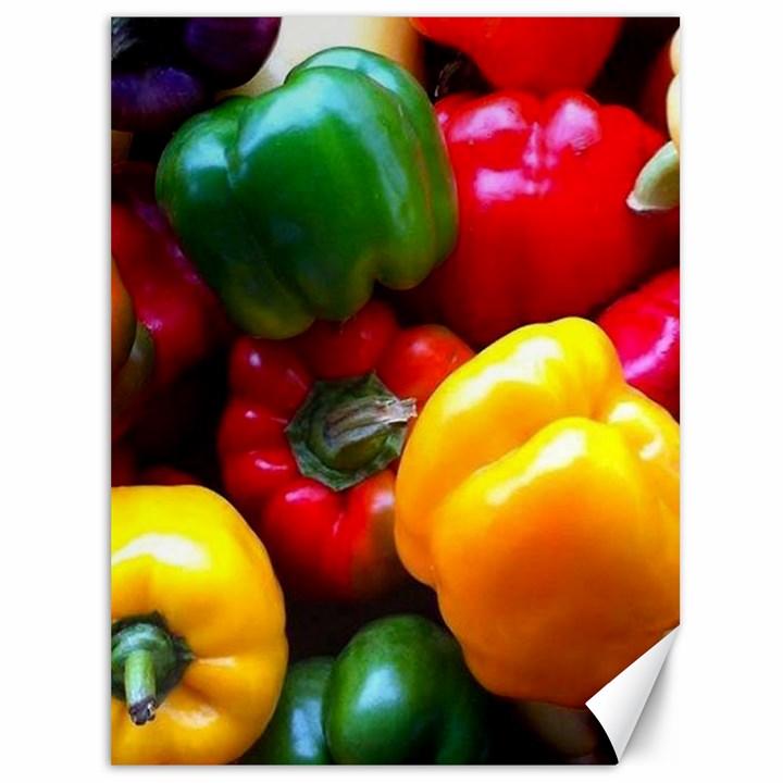 Colorful Capsicum Canvas 36  x 48 