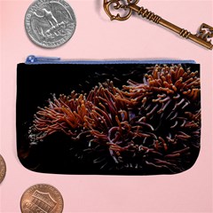 Sea Anemone Coral Underwater Ocean Sea Water Large Coin Purse by pakminggu