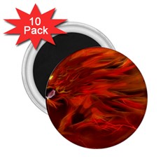 Fire Lion Flames Light Mystical Dangerous Wild 2 25  Magnets (10 Pack)  by Mog4mog4