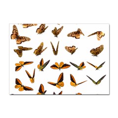 Butterfly Butterflies Insect Swarm Sticker A4 (10 Pack) by 99art