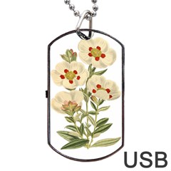 Nature-flower-leaf-plant-isolated Dog Tag Usb Flash (one Side) by 99art