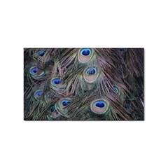 Peacock Feathers Peacock Bird Feathers Sticker Rectangular (100 Pack) by Ndabl3x