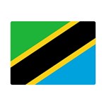 Flag Of Tanzania Premium Plush Fleece Blanket (Mini) 35 x27  Blanket Front