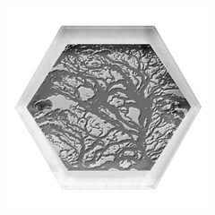 Tree Leaf Green Forest Wood Natural Nature Hexagon Wood Jewelry Box by Ravend