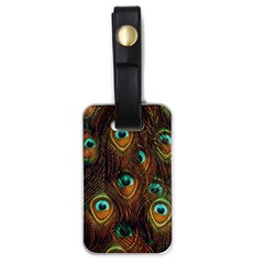 Peacock Feathers Luggage Tag (one Side) by Ravend