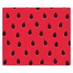 Seamless-watermelon-surface-texture Two Sides Premium Plush Fleece Blanket (Small) 50 x40  Blanket Back