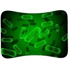 Green-rod-shaped-bacteria Velour Seat Head Rest Cushion by Simbadda