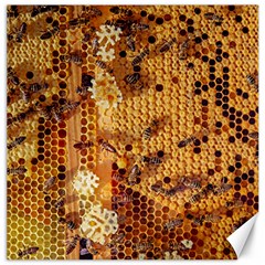 Bees Nature Animals Honeycomb Canvas 20  X 20  by pakminggu