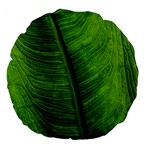 Green-leaf-plant-freshness-color Large 18  Premium Flano Round Cushions Back