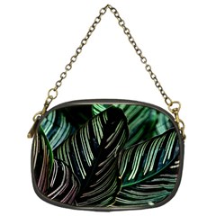 Calathea Leaves Strippe Line Chain Purse (one Side) by Ravend