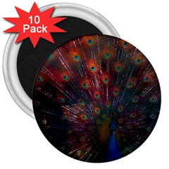 Peacock Feather Bird 3  Magnets (10 Pack)  by Bedest