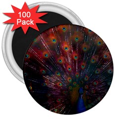 Peacock Feather Bird 3  Magnets (100 Pack) by Bedest