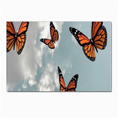 Aesthetic Butterfly , Butterflies, Nature, Postcards 5  X 7  (pkg Of 10) by nateshop