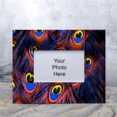 Peacock-feathers,blue,yellow White Tabletop Photo Frame 4 x6  by nateshop