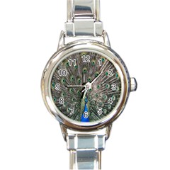 Peacock-feathers1 Round Italian Charm Watch by nateshop