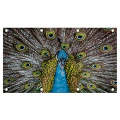 Peacock-feathers2 Banner And Sign 7  X 4  by nateshop