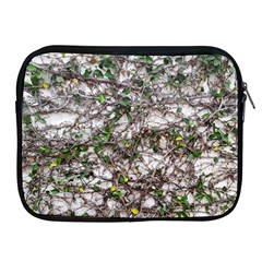 Climbing Plant At Outdoor Wall Apple Ipad 2/3/4 Zipper Cases by dflcprintsclothing