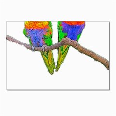 Parrots T-shirtcute Rainbow Loris - Lorikeet T-shirt Postcards 5  X 7  (pkg Of 10) by EnriqueJohnson