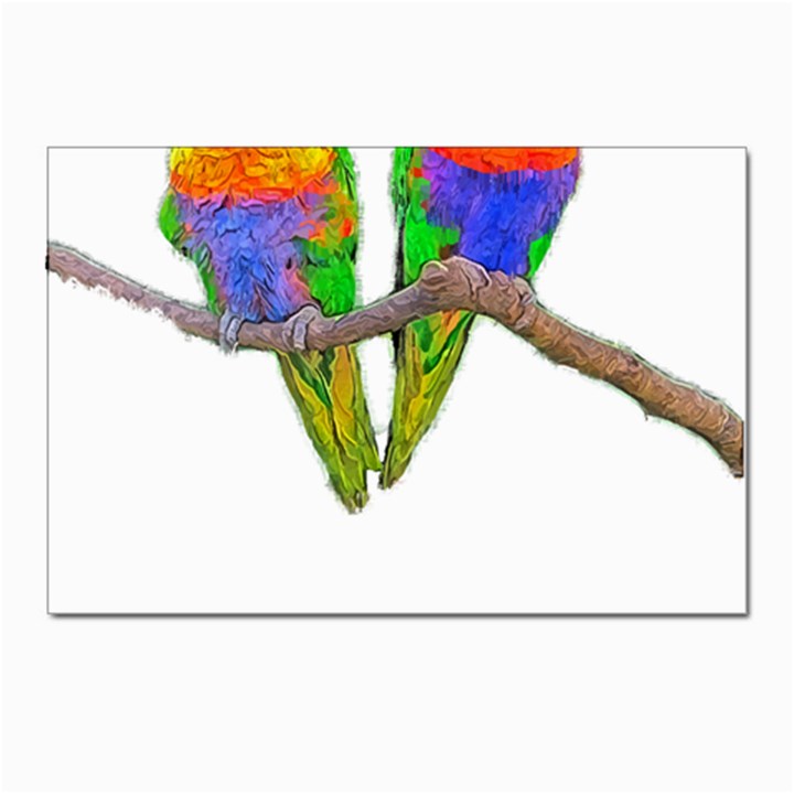 Parrots T-shirtcute Rainbow Loris - Lorikeet T-shirt Postcards 5  x 7  (Pkg of 10)