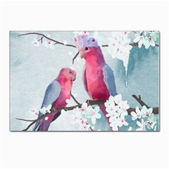 Watercolor Parrot Postcards 5  X 7  (pkg Of 10) by SychEva