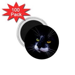 Face Black Cat 1 75  Magnets (100 Pack)  by Ket1n9