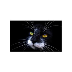 Face Black Cat Sticker Rectangular (10 Pack) by Ket1n9