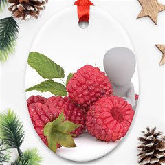 Fruit-healthy-vitamin-vegan Ornament (oval) by Ket1n9