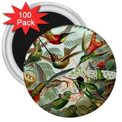 Humming Birds Trochilidae 3  Magnets (100 Pack) by Pakjumat