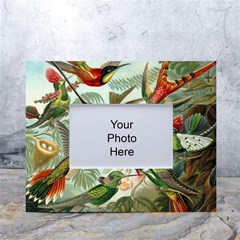 Humming Birds Trochilidae White Tabletop Photo Frame 4 x6  by Pakjumat