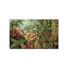 Moose Eurhynchium Haeckel Muscinae Sticker Rectangular (100 Pack) by Pakjumat