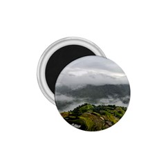 Residential Paddy Field Step Cloud 1 75  Magnets by Sarkoni