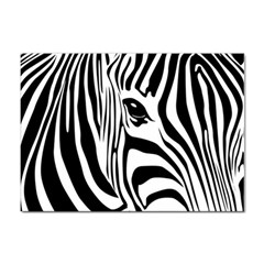 Animal Cute Pattern Art Zebra Sticker A4 (100 Pack) by Amaryn4rt