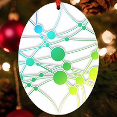 Network Connection Structure Knot Uv Print Acrylic Ornament Oval by Amaryn4rt